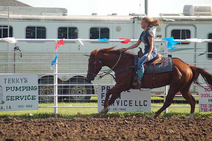 Pauley Performance Horses for Sale